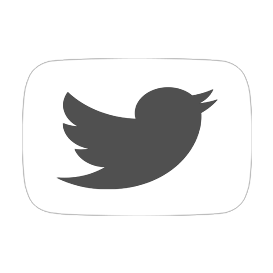 Icone Twitter